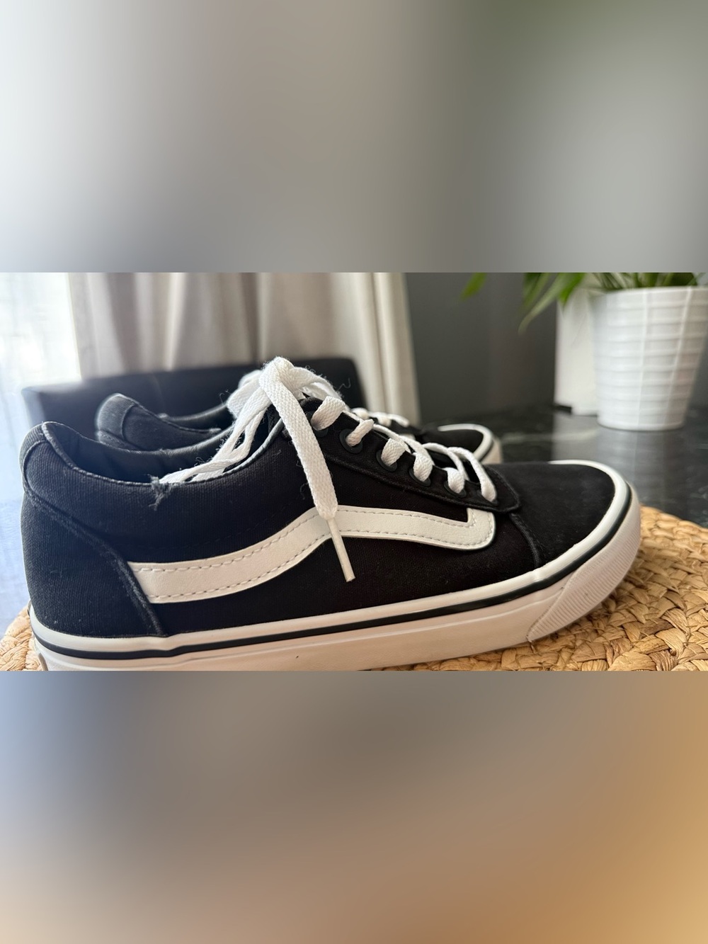 Vans Black and White Low-Top Skate Sneakers